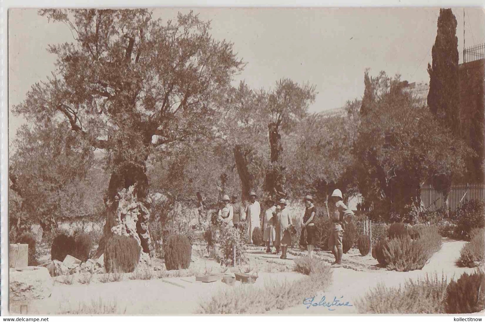 REAL POSTCARD - GARDEN - JERUSALEM - PALASTINE - 1927 - Palestine