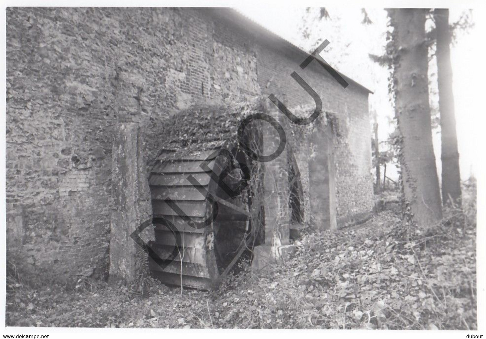 WANSIN - Molen / Moulin - Originele Foto Jaren '70 - Moulin D' Audince (Q361) - Hannut