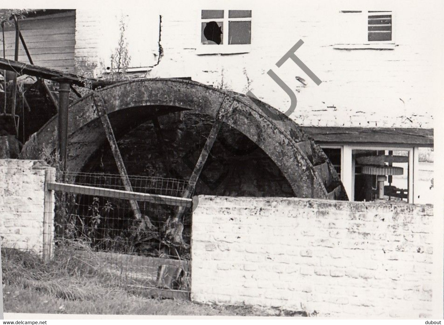 FENEUR - Molen / Moulin - Originele Foto Jaren '70 -  (Q211) - Dalhem