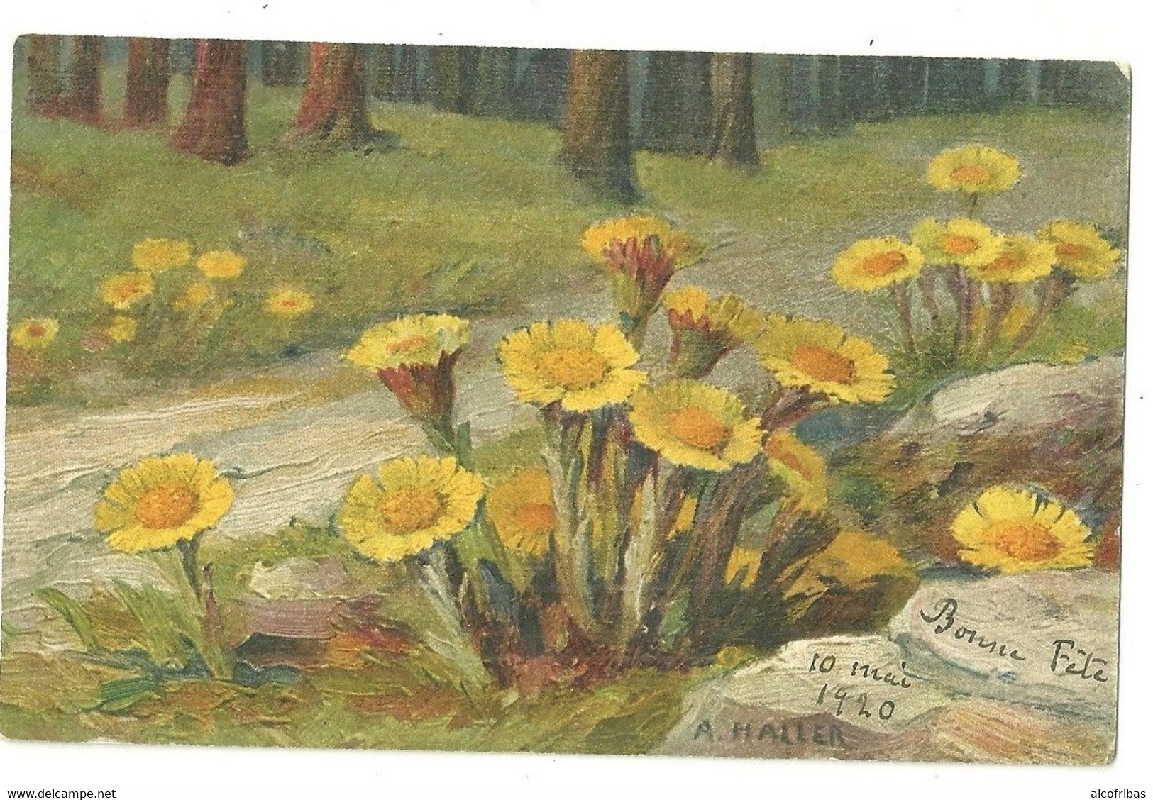 Illustrateur A.HALLER Lot  12 Cartes Fleurs Imprimées En  Suisse - Haller, A.