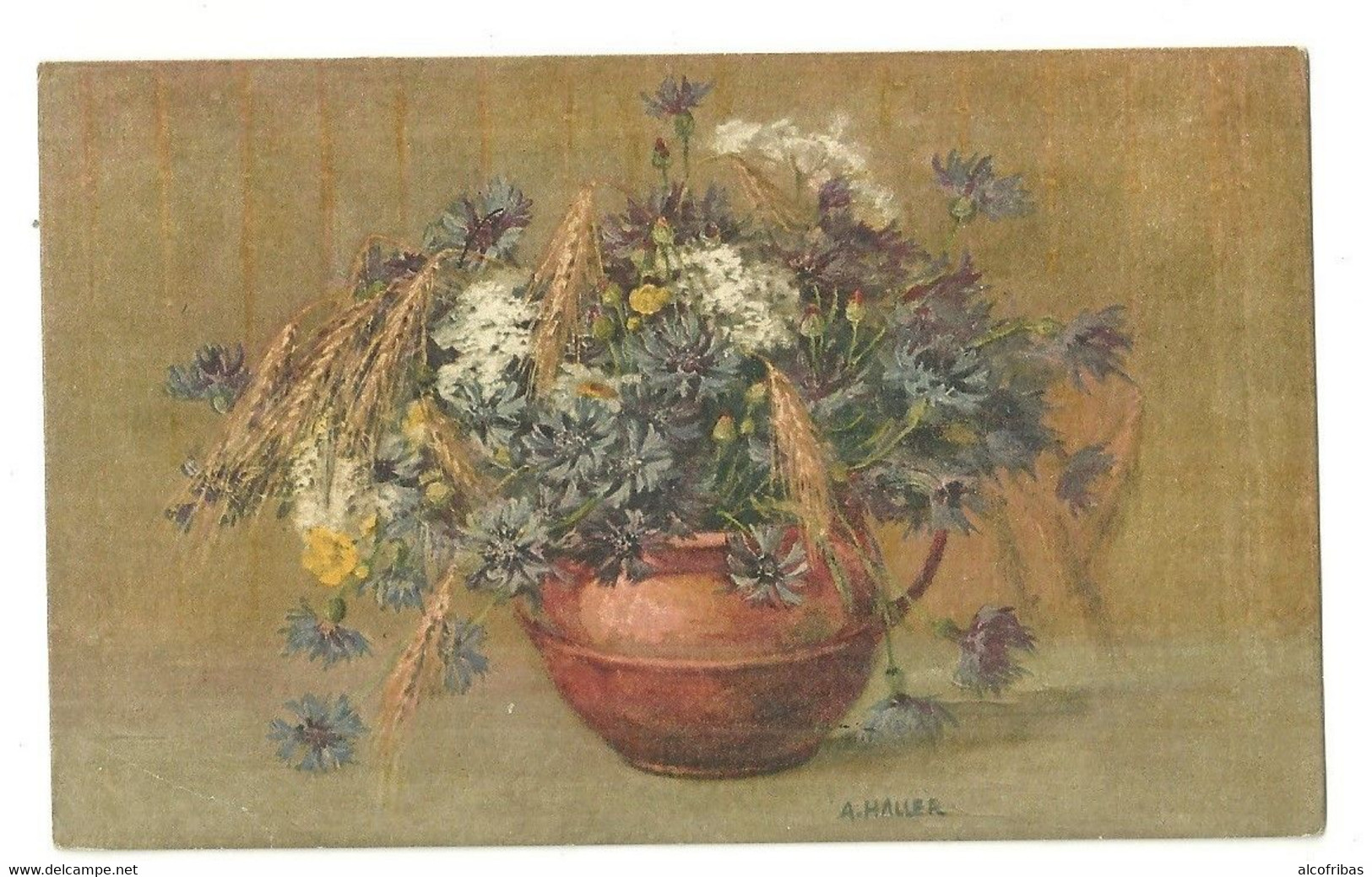 Illustrateur A.HALLER Lot  12 Cartes Fleurs Imprimées En  Suisse - Haller, A.