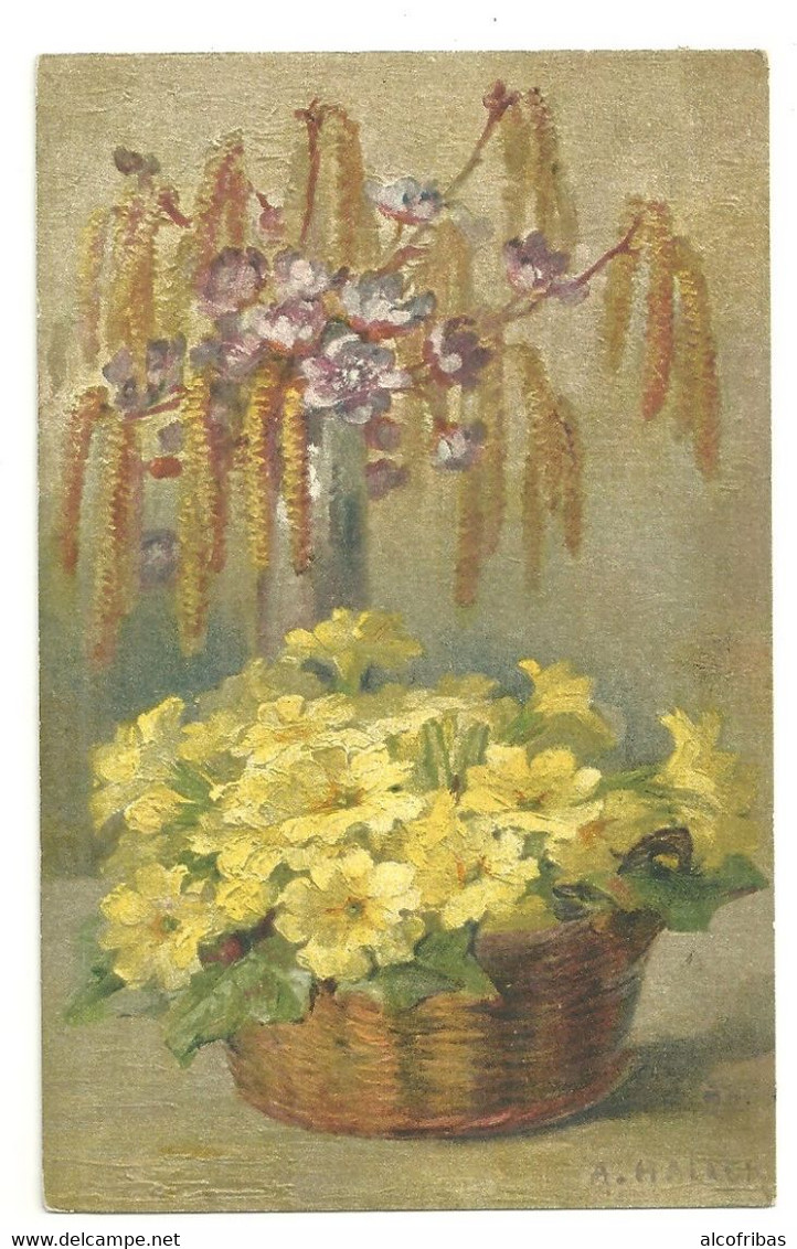 illustrateur A.HALLER lot  12 cartes fleurs imprimées en  suisse