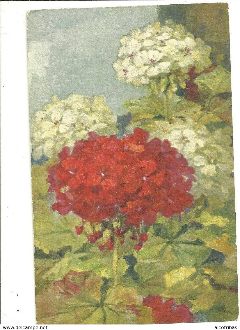 illustrateur A.HALLER lot  12 cartes fleurs imprimées en  suisse