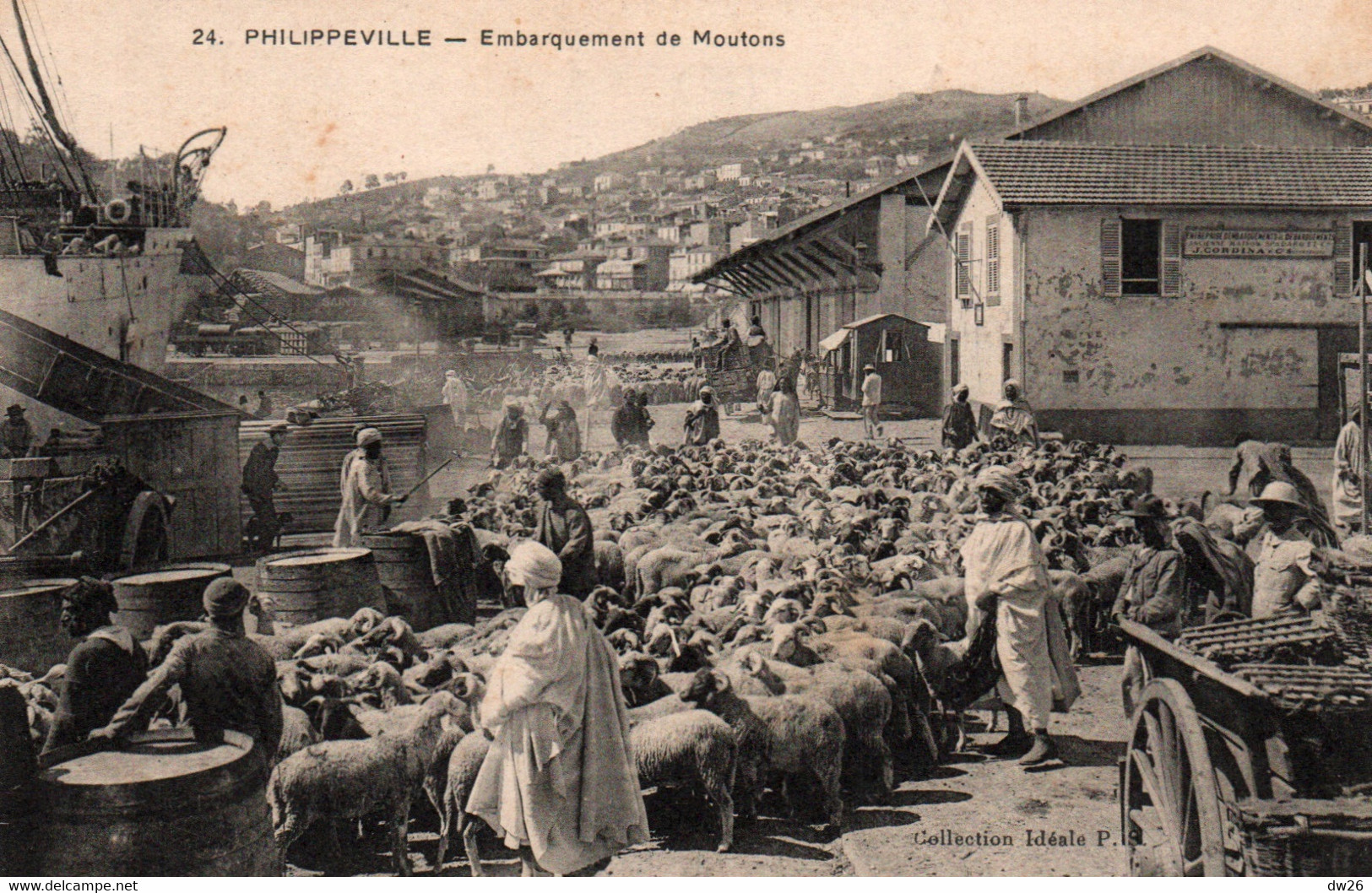 Philippeville (Skikda, Algérie) Embarquement De Moutons Sur Les Bateaux - Collection Idéale P.S. - Carte N° 24 - Skikda (Philippeville)