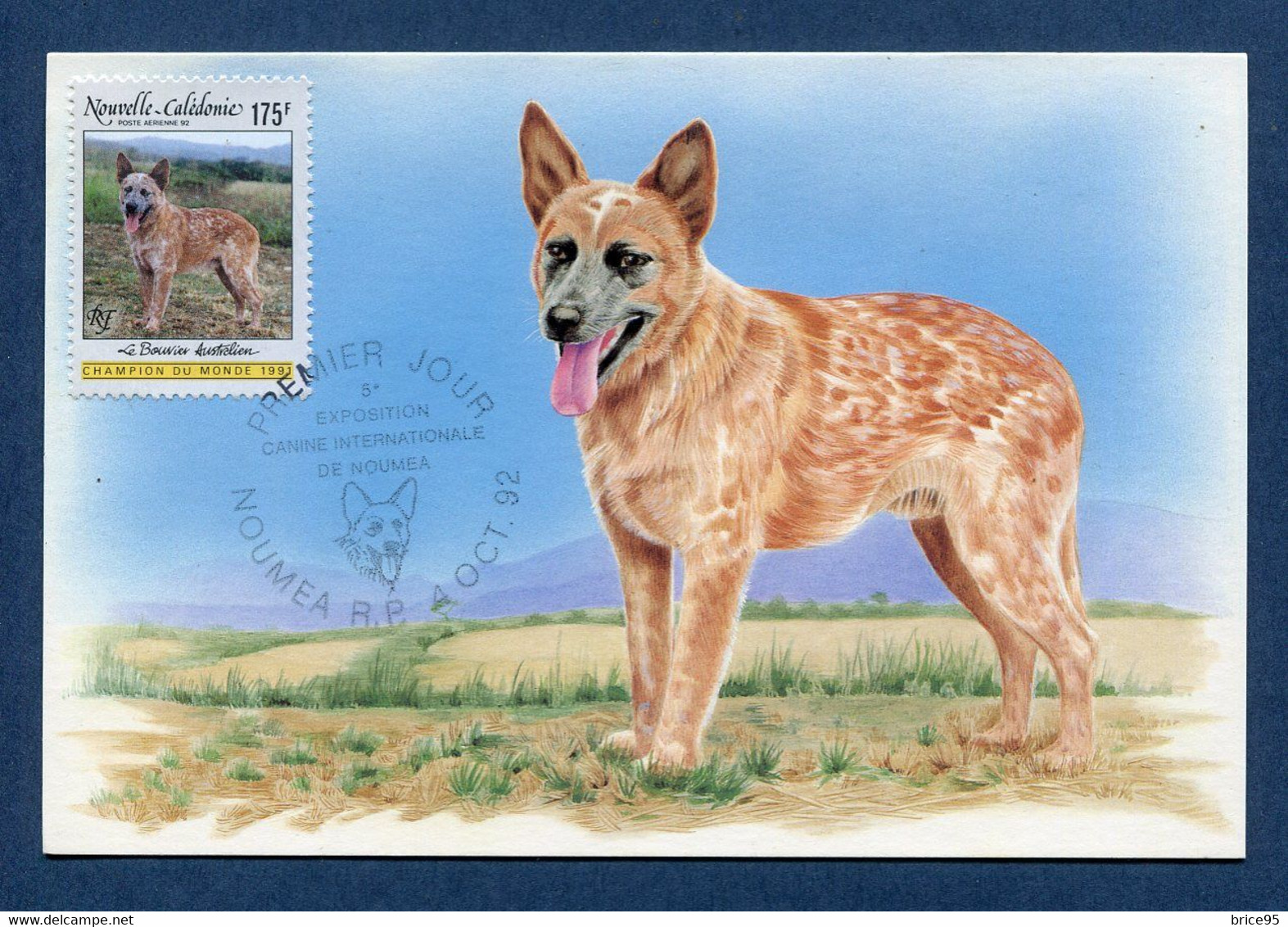 ⭐ Nouvelle Calédonie - Carte Maximum - Premier Jour - FDC - Exposition Canine Internationale De Nouméa - 1992 ⭐ - Cartoline Maximum