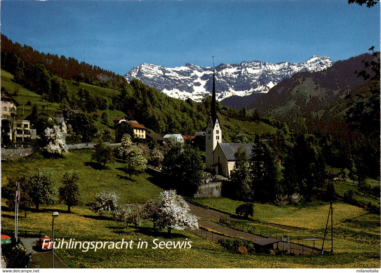 Frühlingspracht In Seewis (3012) (a) - Seewis Im Prättigau