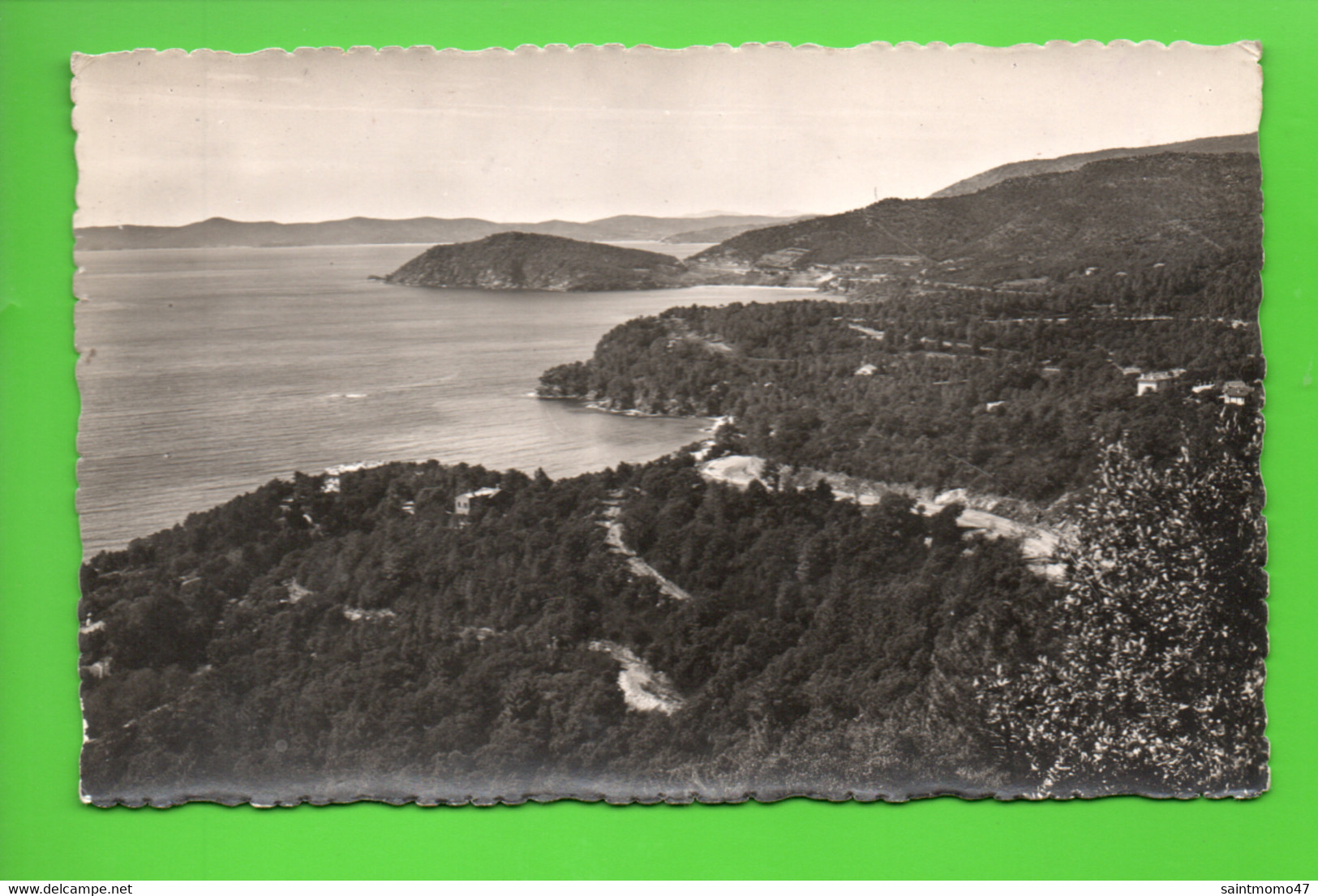 83 - ENVIRONS DU LAVANDOU . LE RAYOL . VUE PANORAMIQUE - Réf. N°11642 - - Le Lavandou