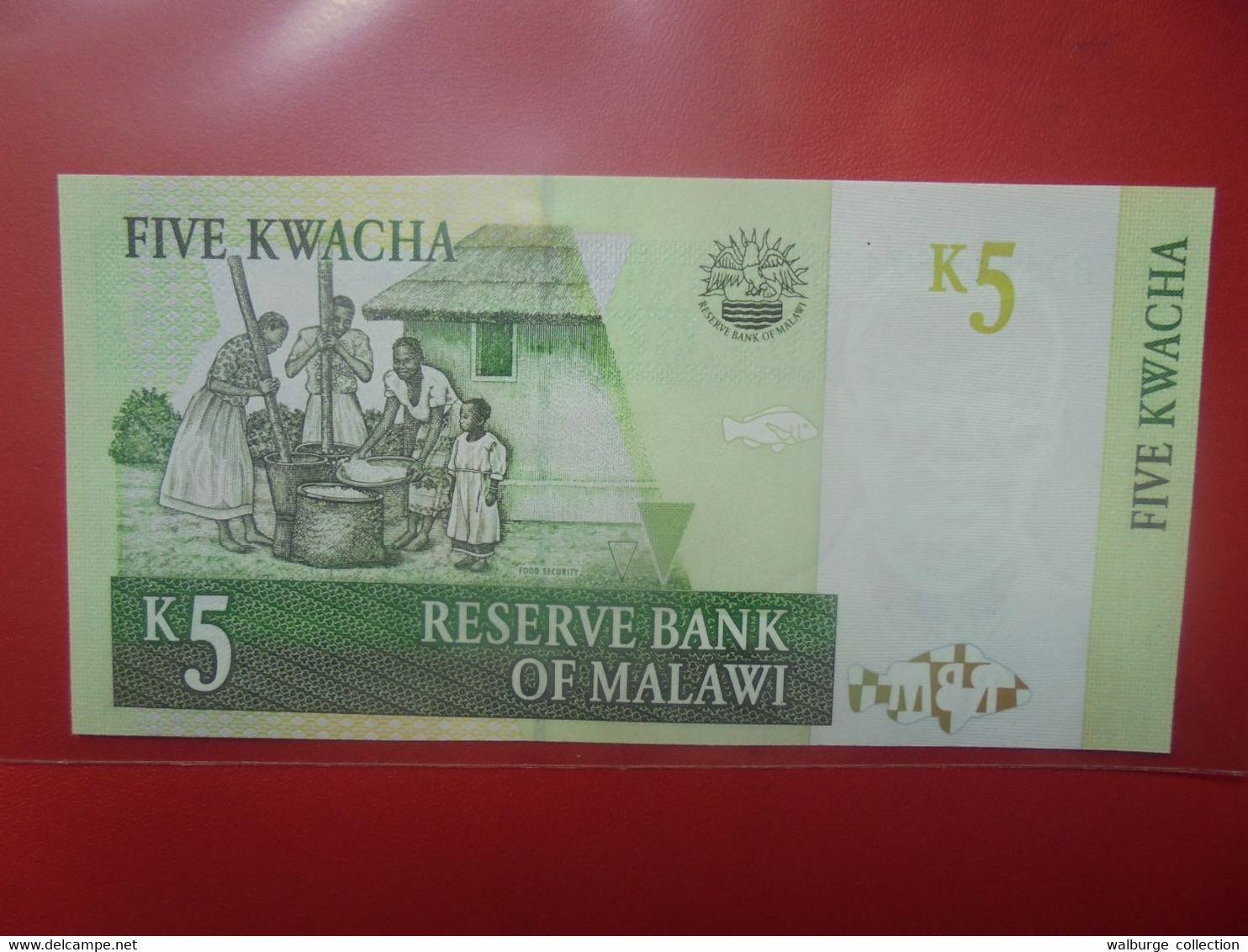 MALAWI 5 KWACHA Peu Circuler/Neuf (B.23) - Malawi