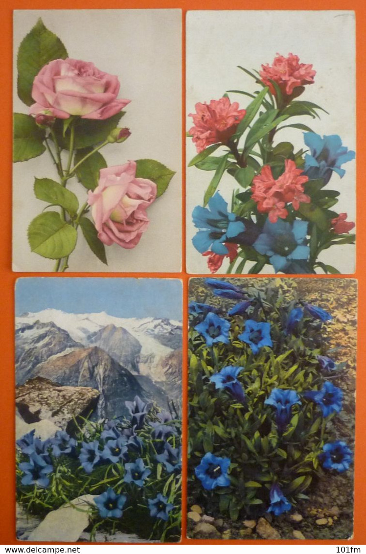 FLOWERS , LOT 10 OLD POSTCARDS - Fleurs