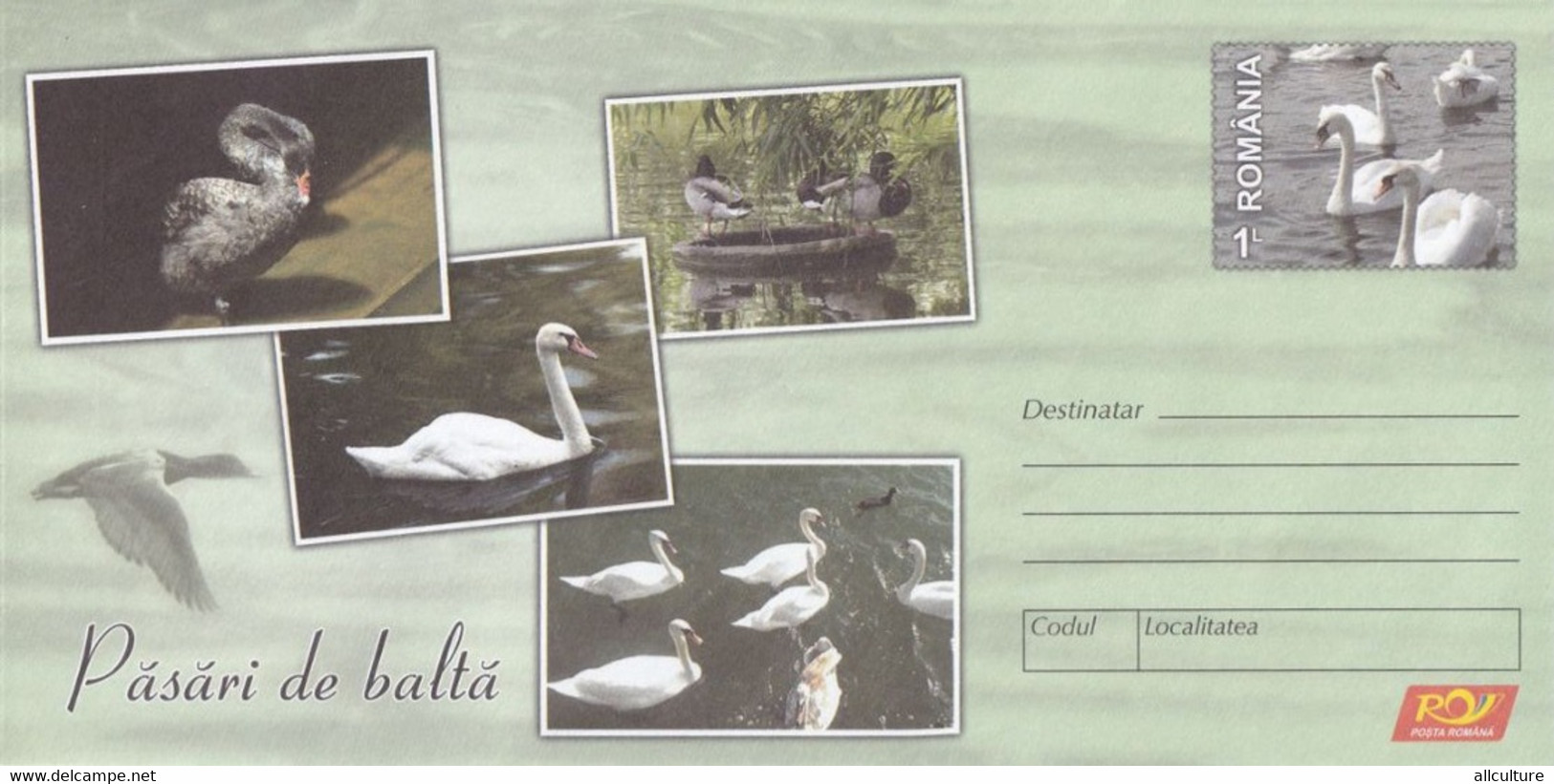 A8461- GEESE SWANS DUCKS - MARSH BIRDS, ROMANIAN COVER STATIONERY POSTAGE UNUSED - Oies
