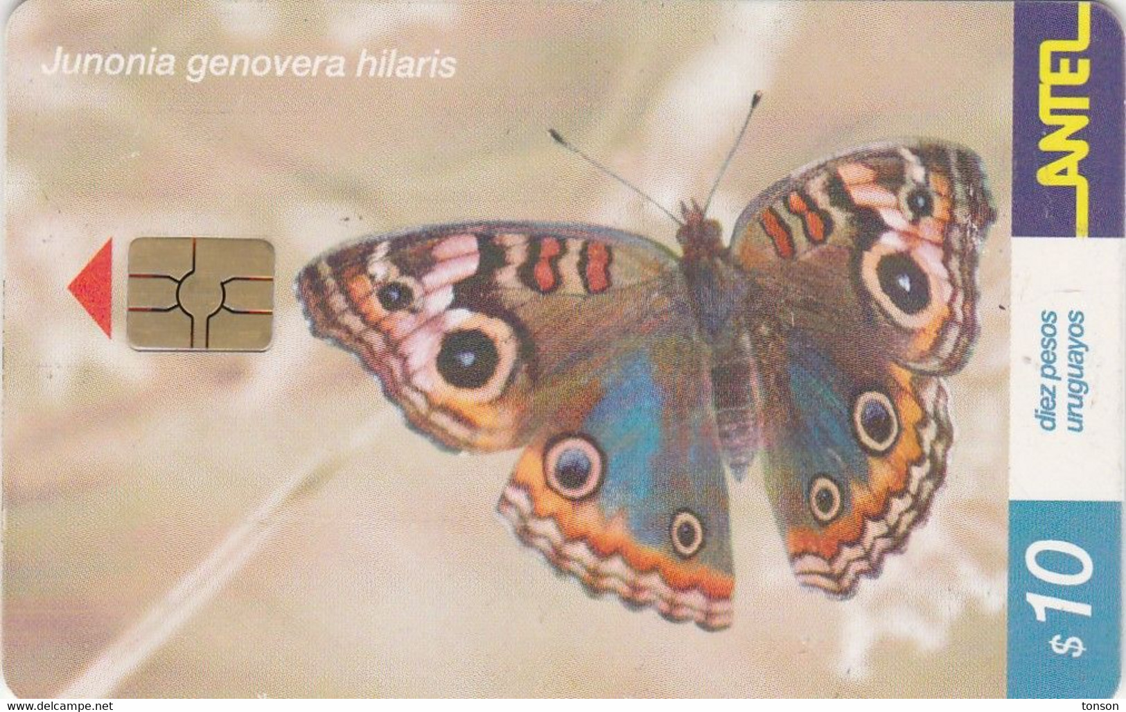 Uruguay TC 182a, $10,Butterflies, Junonia Genovera Hilaris 2 Scans - Uruguay