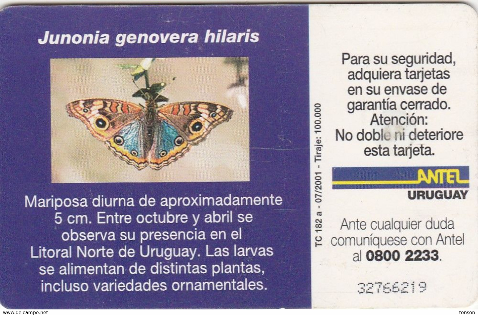 Uruguay TC 182a, $10,Butterflies, Junonia Genovera Hilaris 2 Scans - Uruguay