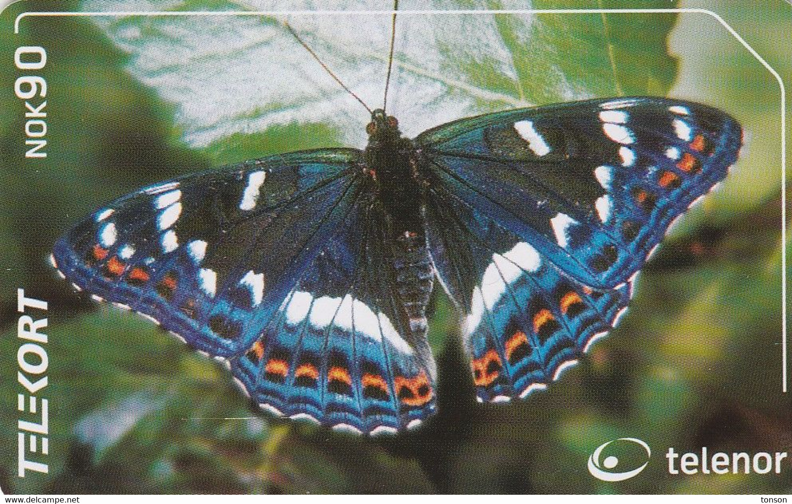 Norway, N209, Ospesommerfugl / Poplar Admiral, Butterfly,  2 Scans. - Farfalle
