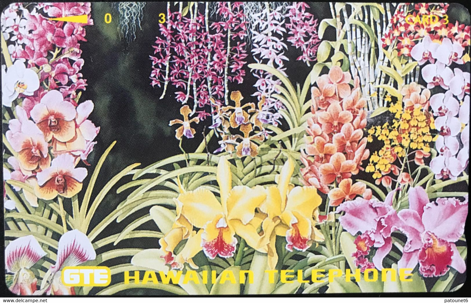 HAWAÏ  -  Phonecard  -  GTE HAWAIIAN TELEPHONE - Flowers - Card 3 - Hawaï