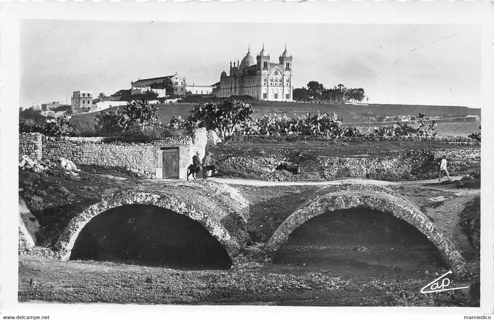 CARTHAGE. 16 Photos 10,50/15 cm + 7 Photos 9/14 cm. Toutes en parfait état et ne provenant pas de carnet ! Années 1950