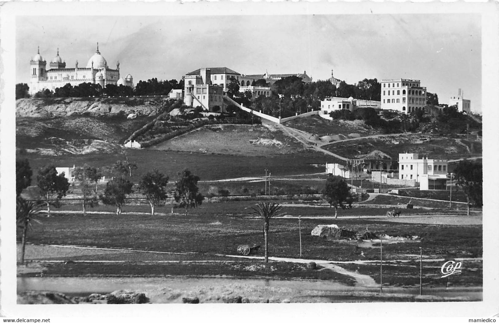 CARTHAGE. 16 Photos 10,50/15 cm + 7 Photos 9/14 cm. Toutes en parfait état et ne provenant pas de carnet ! Années 1950