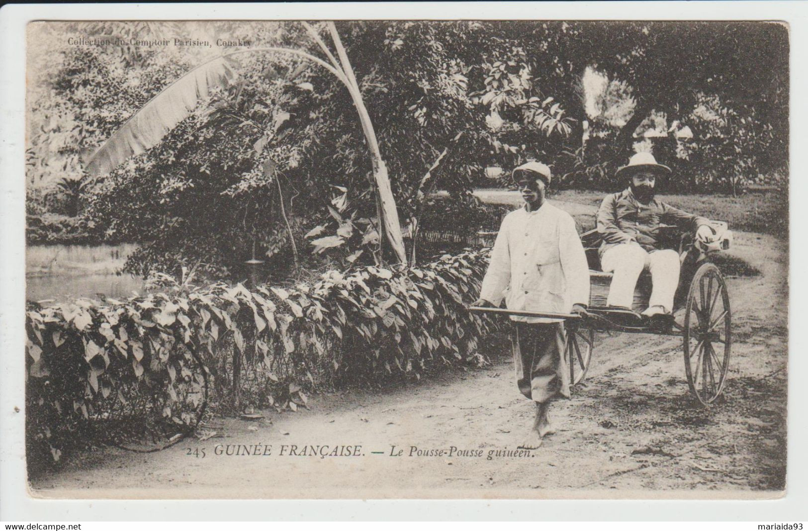 GUINEE - LE POUSSE POUSSE GUINEEN - Guinée