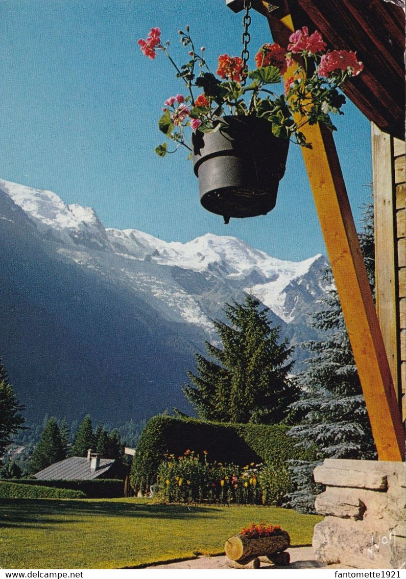 UN COIN DE HAUTE SAVOIE PRES DU MASSIF DU MONT BLANC (dil74) - Chamonix-Mont-Blanc