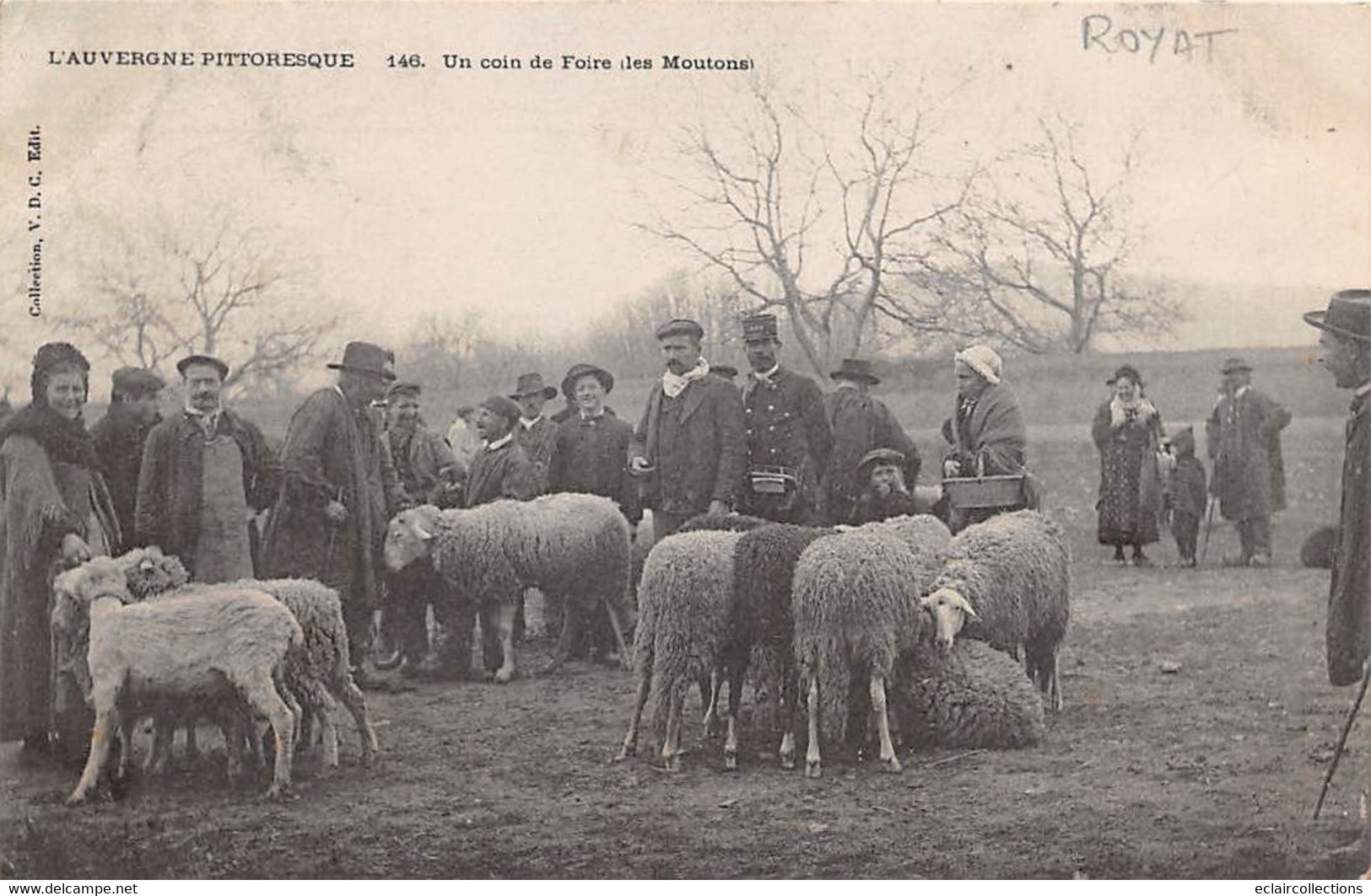 Royat        63         Un Coin De Foire  - Les Moutons -      (voir Scan) - Royat