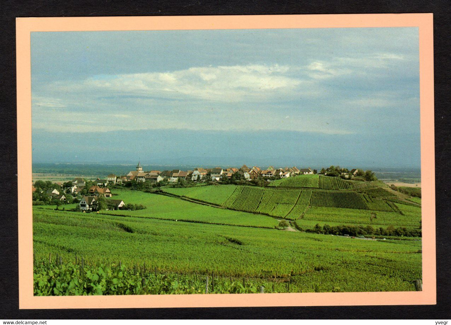 RARE - ZELLENBERG-RIQUEWIHR (68 Haut-Rhin) Le Village Et Son Clocher Dominant Les Vignes Et La Plaine D'Alsace - Other & Unclassified