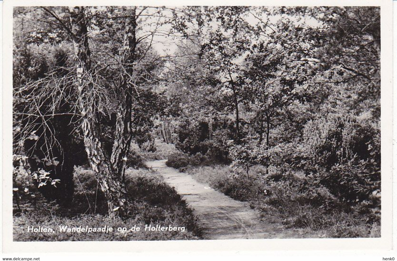 Holten Wandelpaadje Op De Holterberg OM21 - Holten