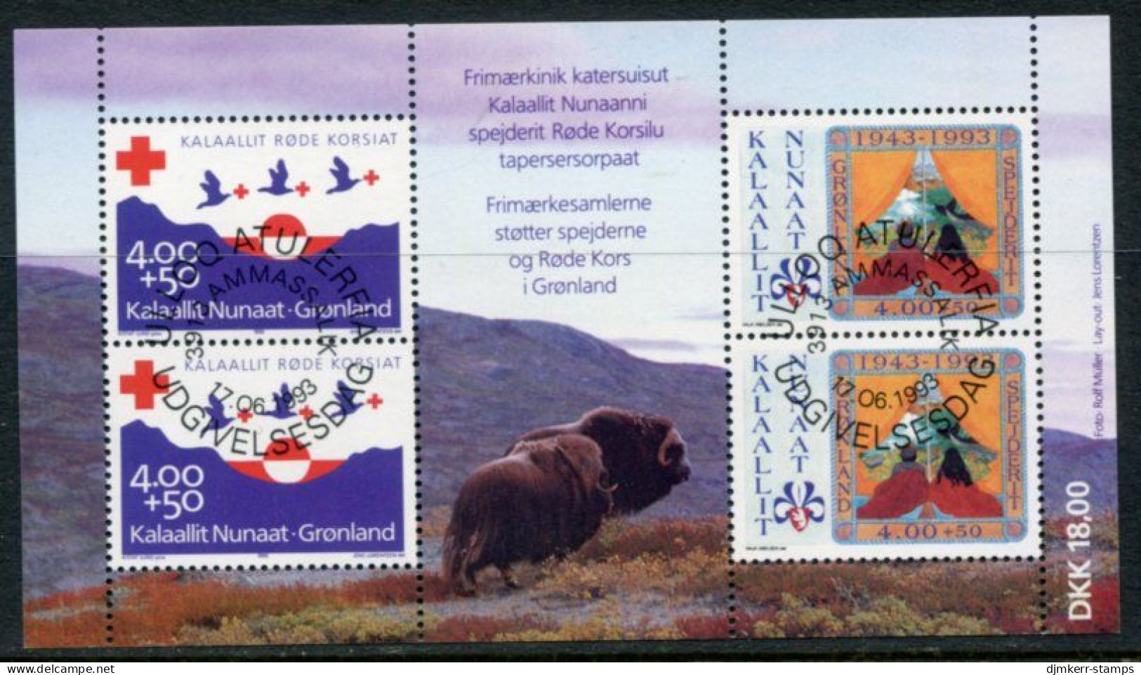 GREENLAND 1993 Red Cross Block Used.  Michel  Block 4 - Usados