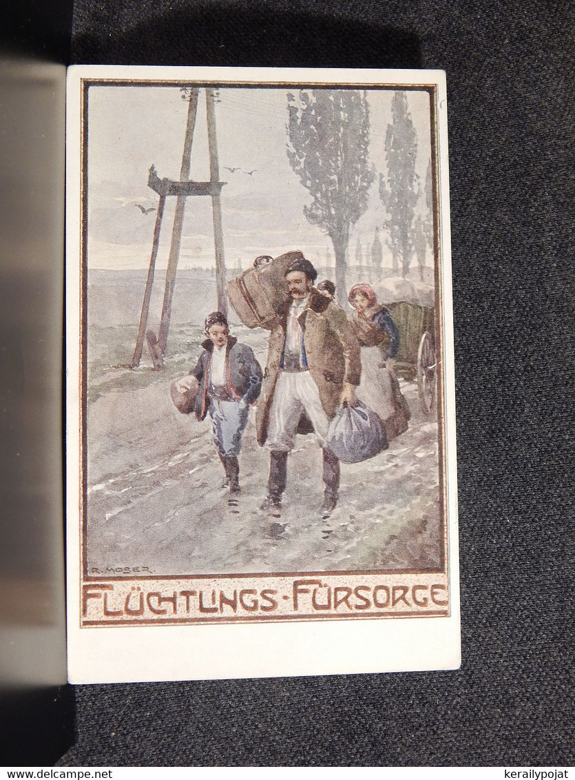 R.Moser Fluchtlings Fursorge__(11471) - Moser