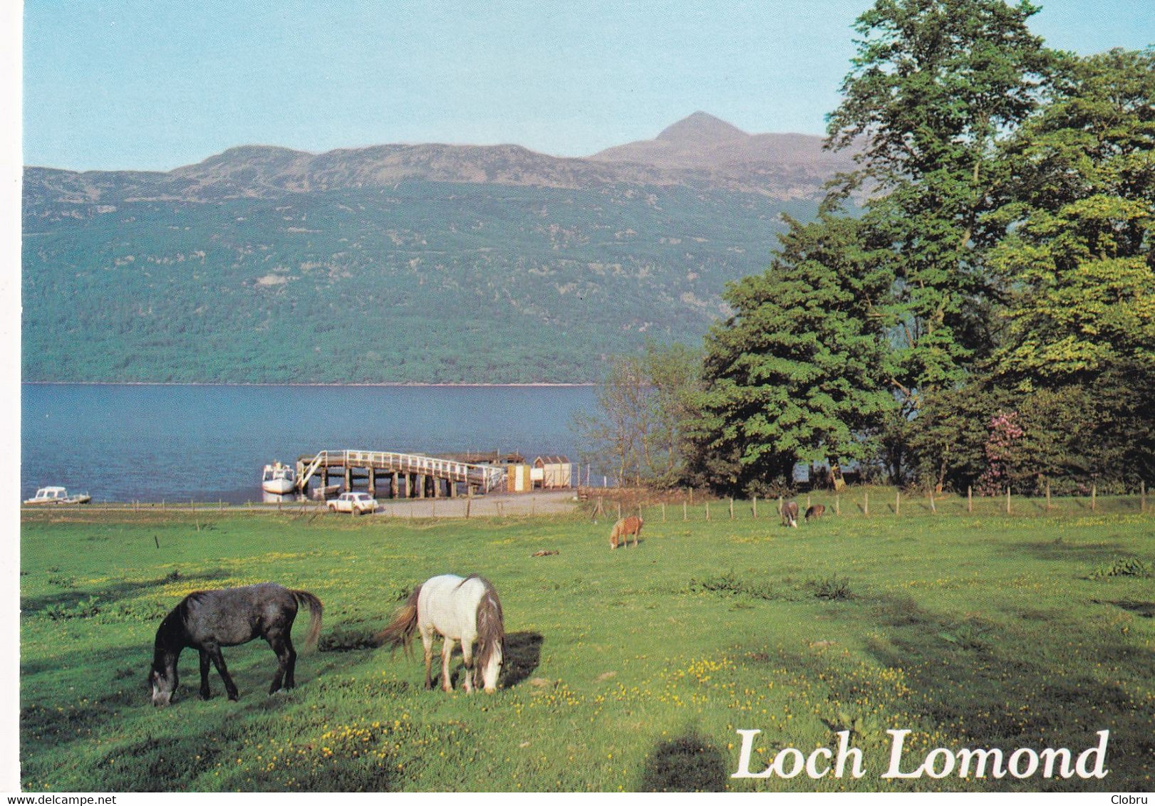 Loch Lomond, The Peak Of Ben Lomond From Tarbet - Dunbartonshire