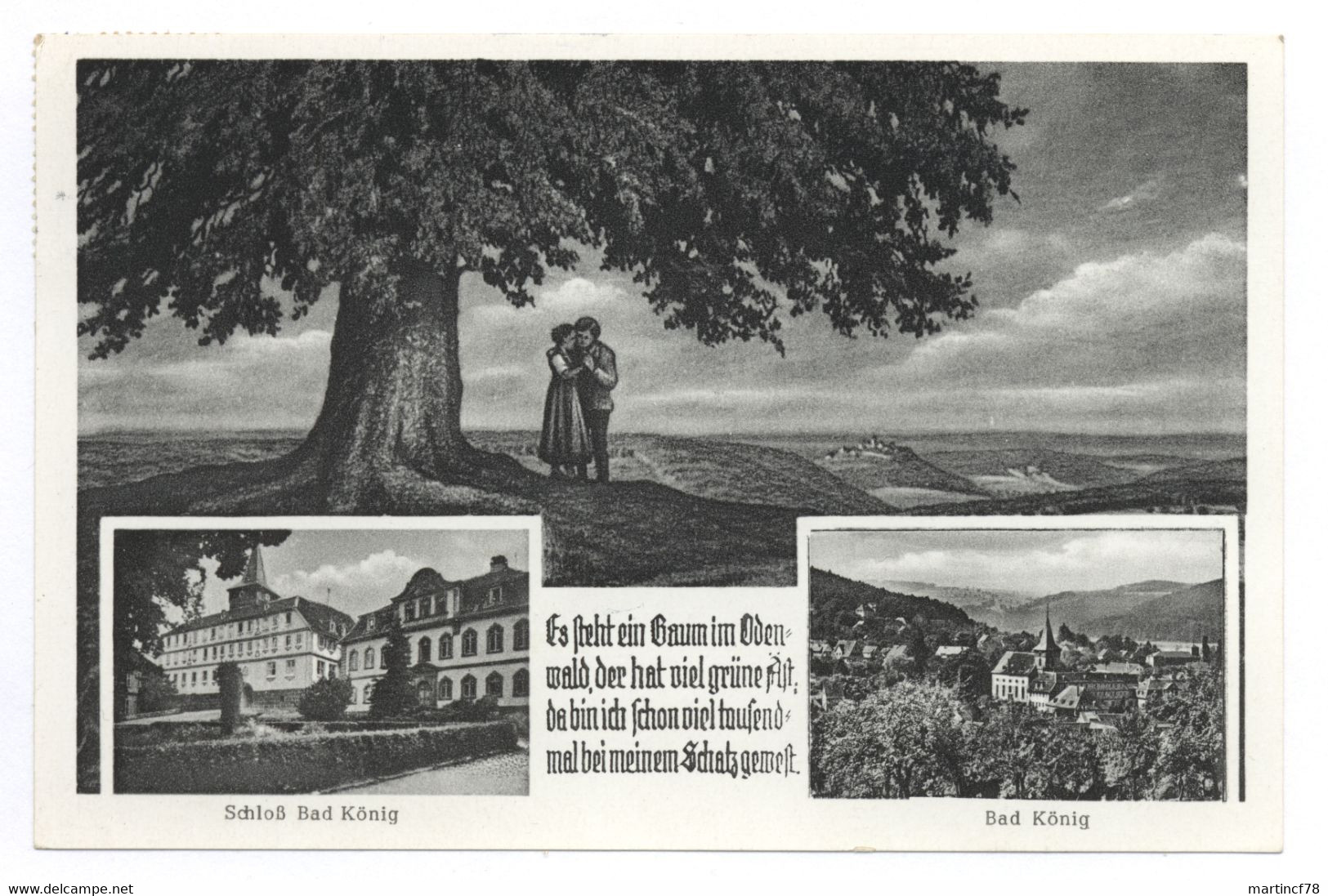 Bad König Schloß Es Steht Ein Baum Im Odenwald - Bad König