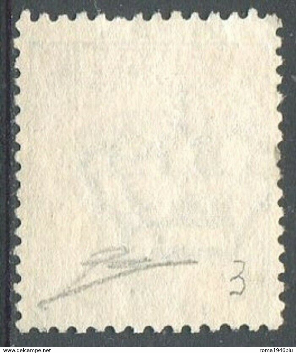 REGNO B.L.P. 1921 23 C. I TIPO N. 3 USATO F.TO DIENA - Used