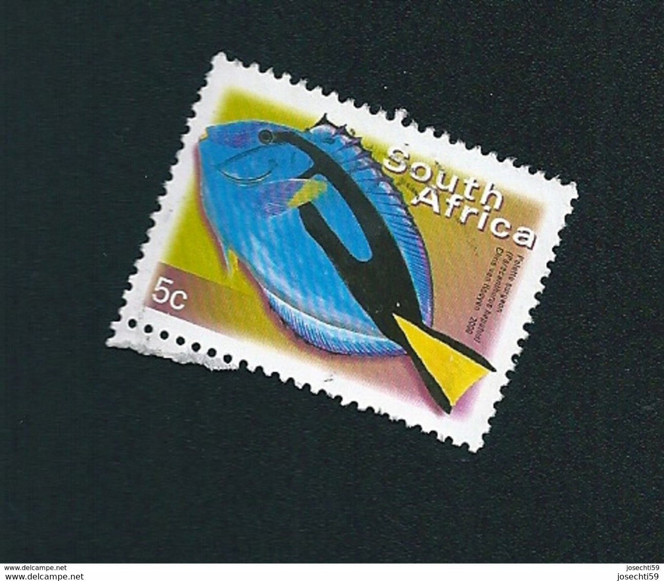N° 1127C Poisson Paracanthurus Hepatus Timbre Afrique Du Sud (2000) Oblitéré - Used Stamps