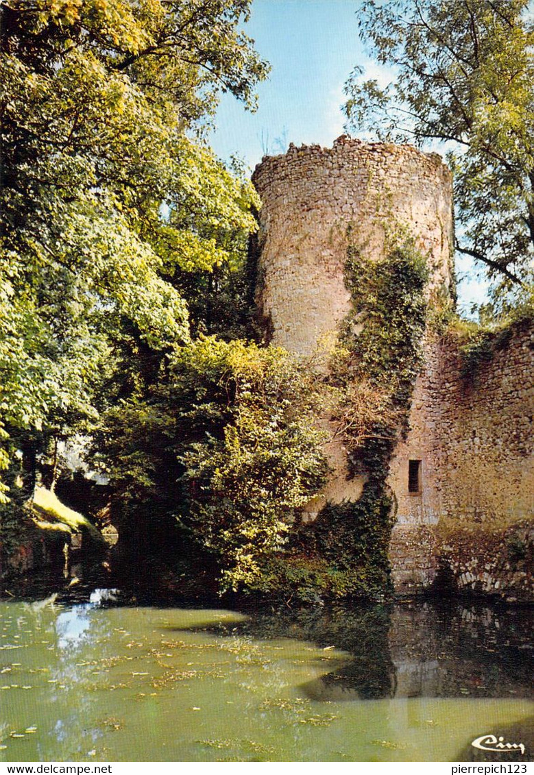 45 - Châtillon Coligny - Les Douves Du Château - Chatillon Coligny