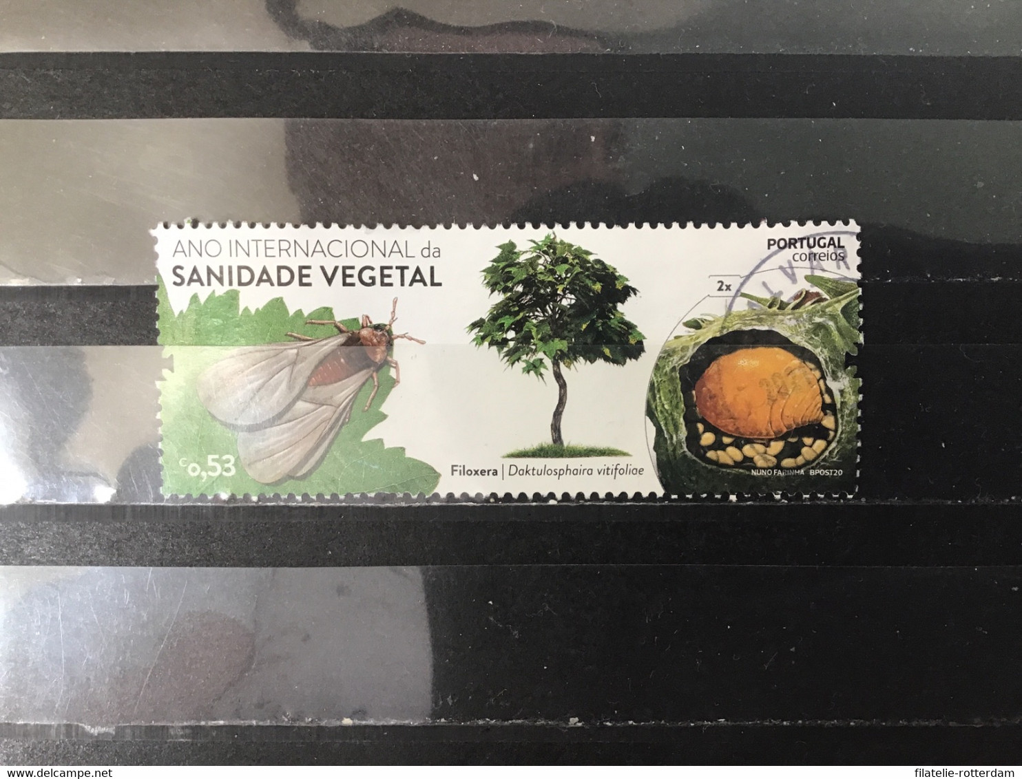 Portugal - Biologische Landbouw (0.53) 2020 - Used Stamps