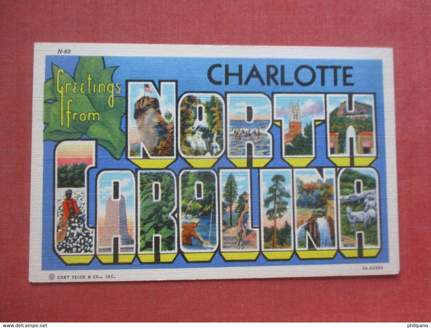 Greetings  Charlotte   North Carolina   Ref  4978 - Charlotte