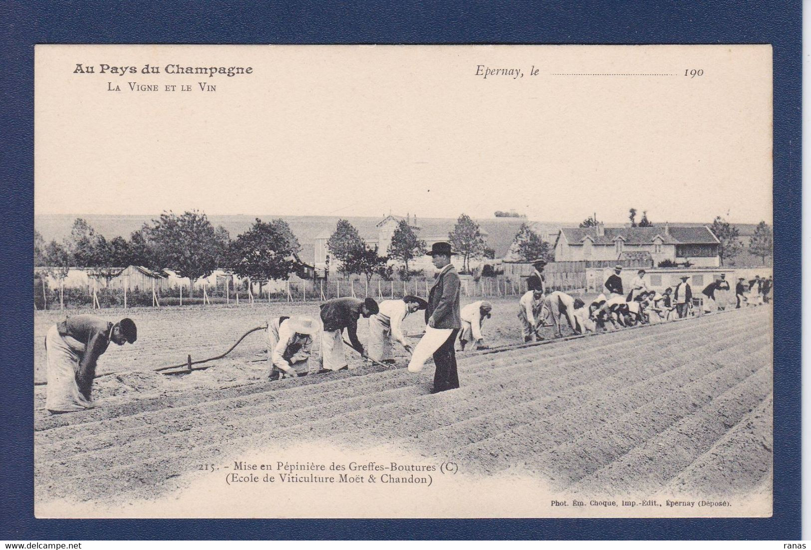 CPA [51] Marne > Epernay Métier De La Vigne Non Circulé - Epernay