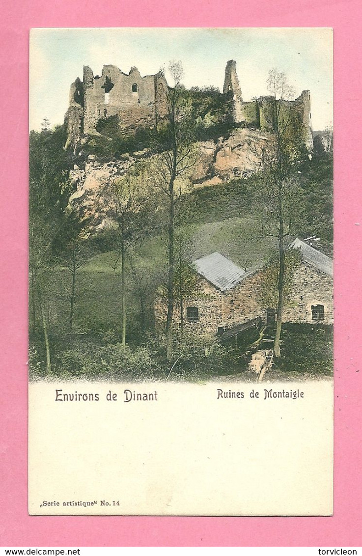 C.P. Montaigle  Falaën   = Les  Ruines  Du Château - Onhaye