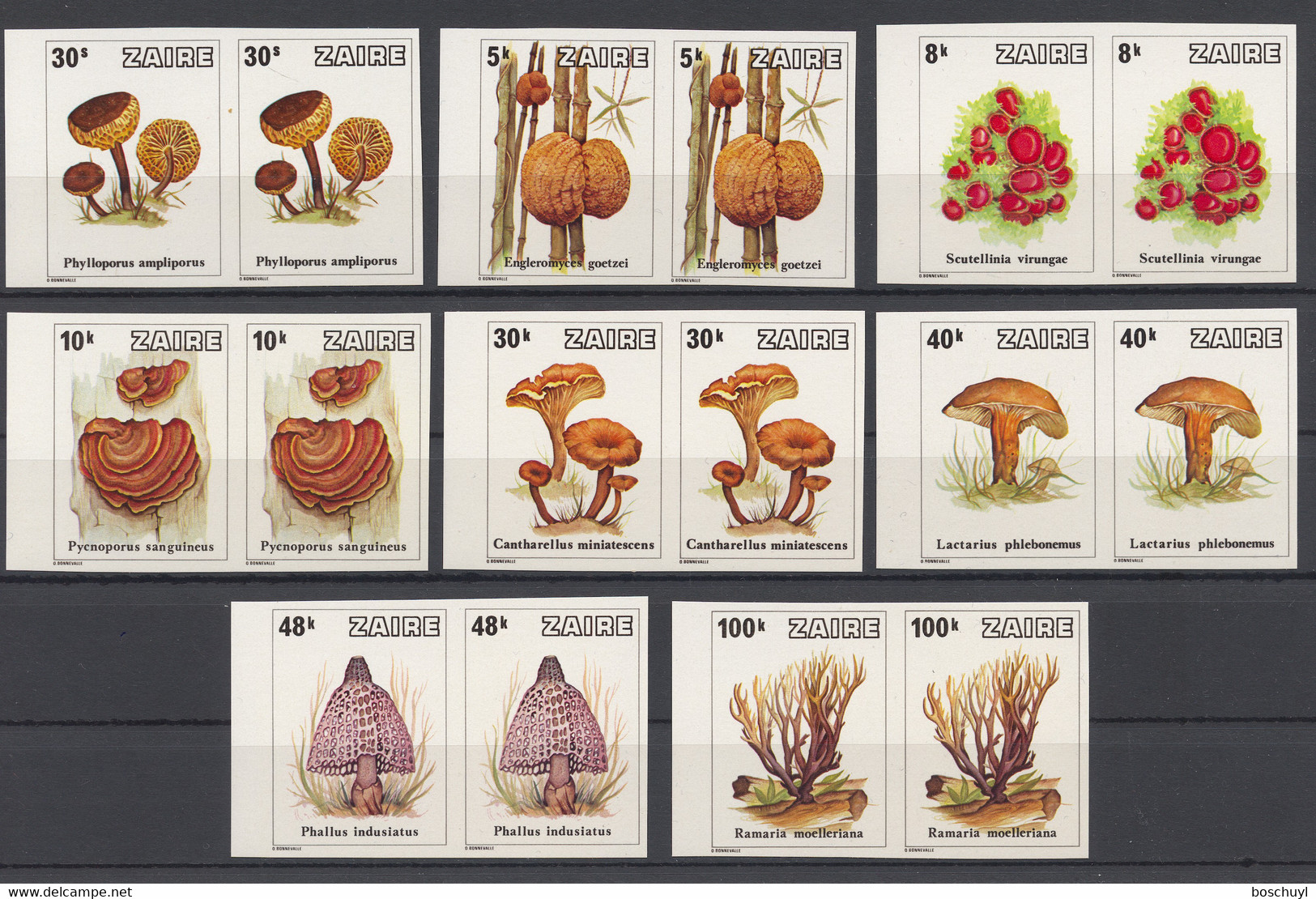 Zaire, 1979, Mushrooms, Nature, MNH Imperforated Pairs, Michel 597-604U - Altri & Non Classificati