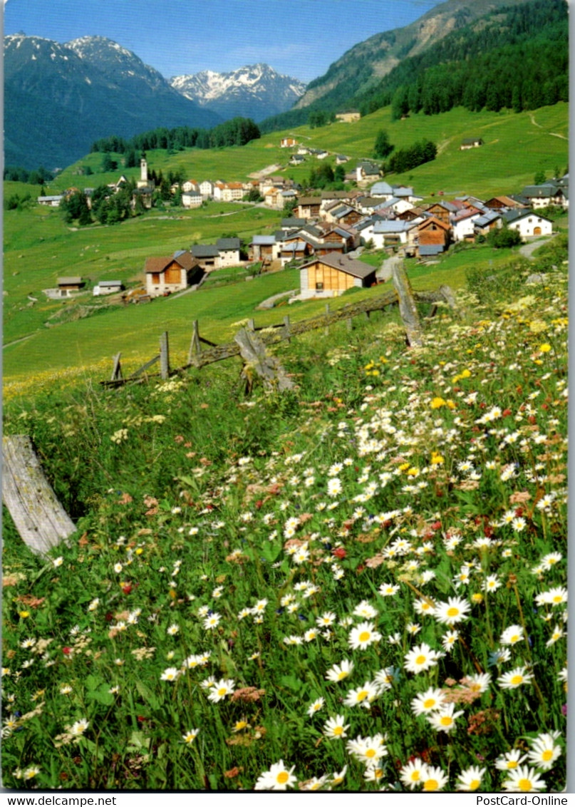 11514 - Schweiz - Ftan Pitschen Und Ftan Grond , Endiadina Bassa - Nicht Gelaufen - Ftan