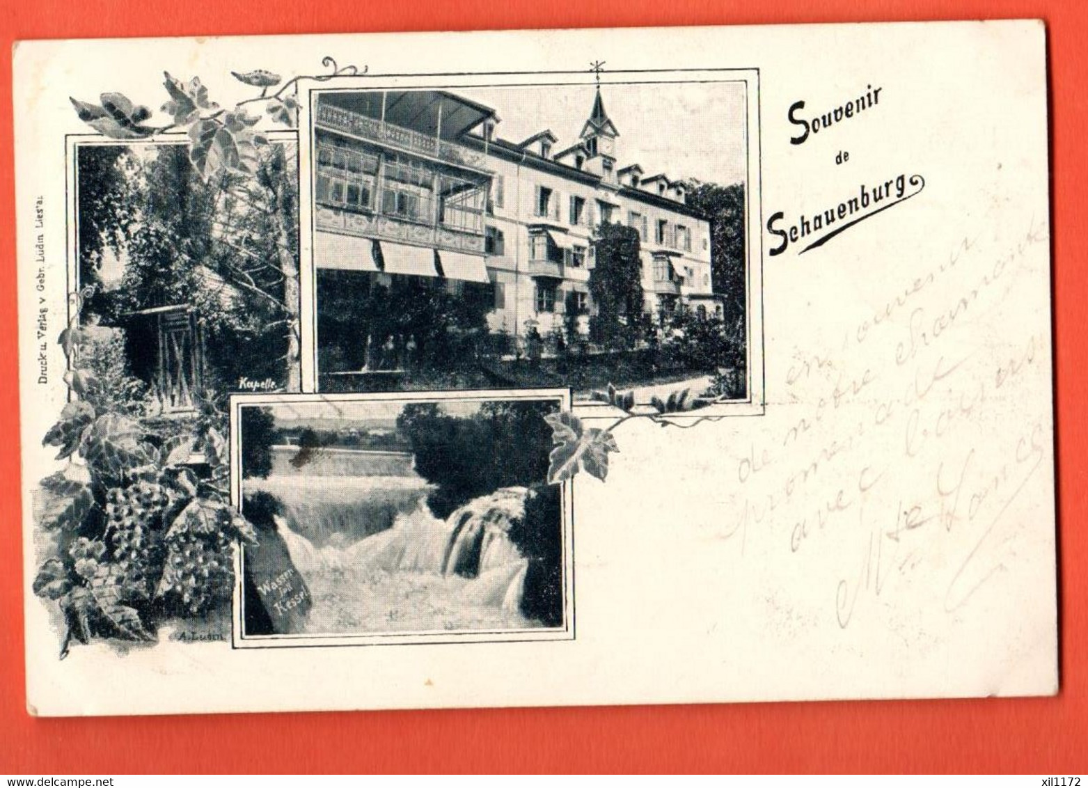 ZOT-13 SELTEN Gruss Aus Schauenburg Selzach Souvenir . Gelaufen Sissach 1903  Gebr. Lüdin  Pionier - Selzach