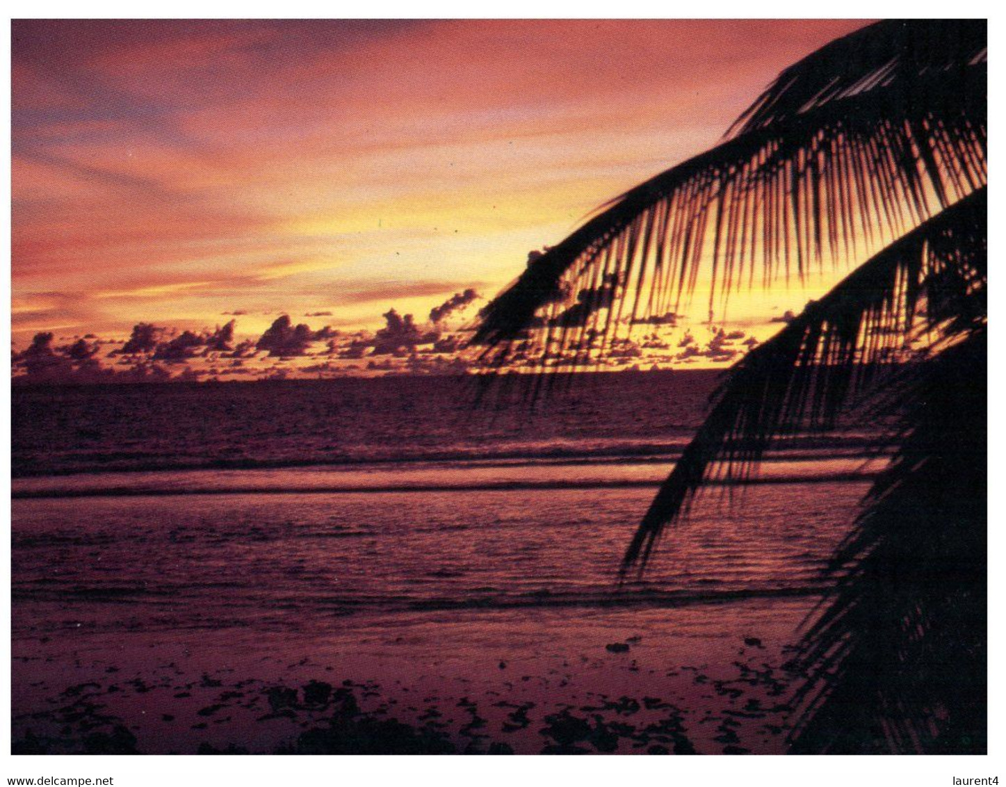 (RR 38) Fiji Sunset - Fidji