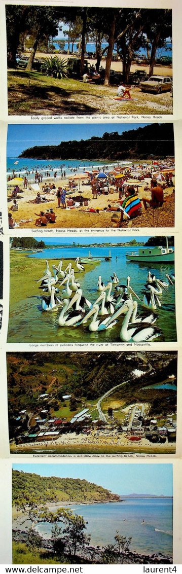 (Booklet 133 - 14-6-2021) Australia - QLD - Noosa Heads - Tewantin - Sunshine Coast