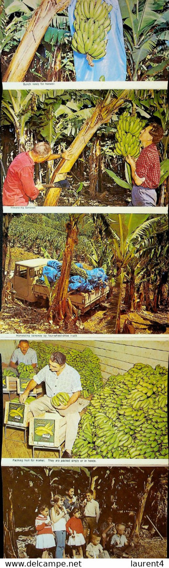 (Booklet 134 - 14-6-2021) Australia - NSW - Coffs Harbour (Big Banana) - Coffs Harbour