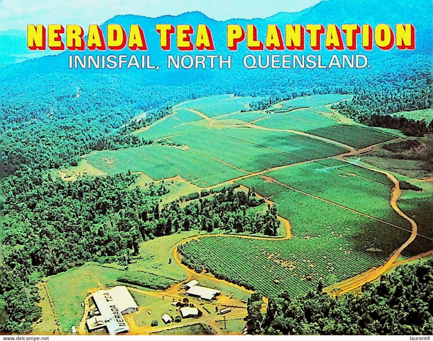 (Booklet 135 - 14-6-2021) Australia - QLD - Nerada Tea Plantation - Great Barrier Reef