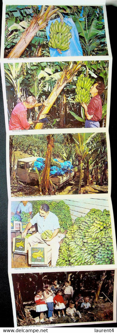 (Booklet 136 - 14-6-2021) Australia - NSW - Bananas (Coffs Harbour) - Coffs Harbour