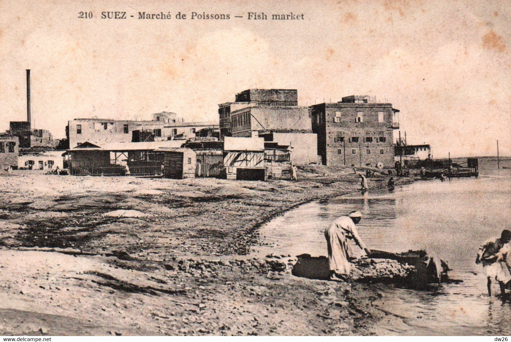 Suez - Marché De Poissons - Carte N° 210 Non Circulée - Sues