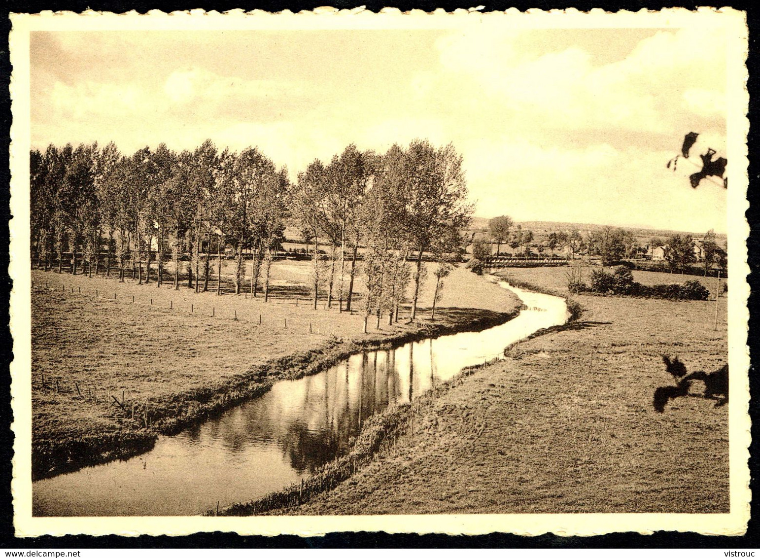 TINTIGNY - La Semois Vue De L'Hostellerie "La Vieille Gaume" - Non Circulé - Not Circulated - Nicht Gelaufen. - Tintigny