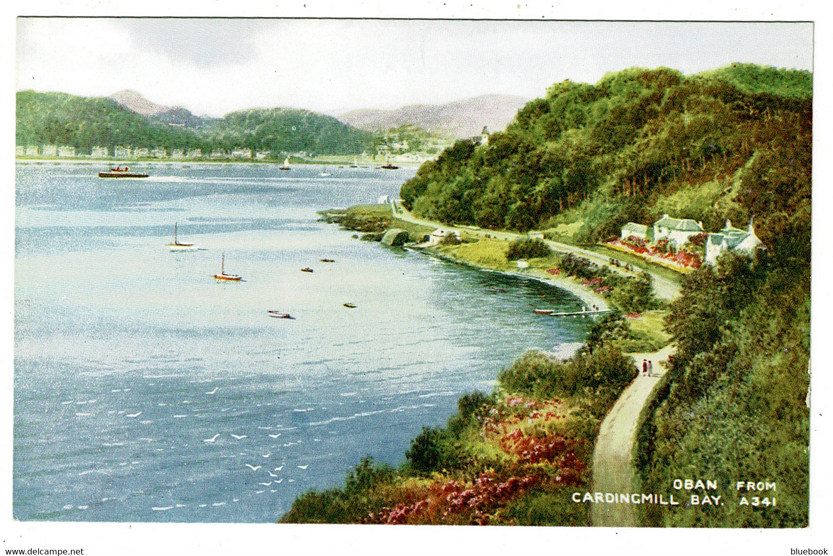 Ref 1487 - Early Postcard - Oban From Cardingmill Bay - Argyllshire Scotland - Argyllshire
