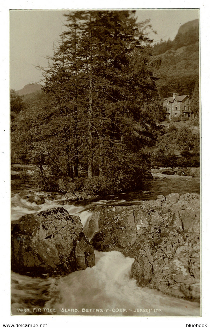 Ref 1489 - Judges Real Photo Postcard - Fir Tree Island - Bettws-Y-Coed Wales - Caernarvonshire