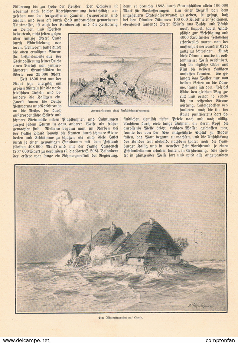 A102 845 - Schreckhaase Halligen Gröde Langeneß Oland Süpderoog Artikel Mit Bildern 1911 !! - Otros & Sin Clasificación