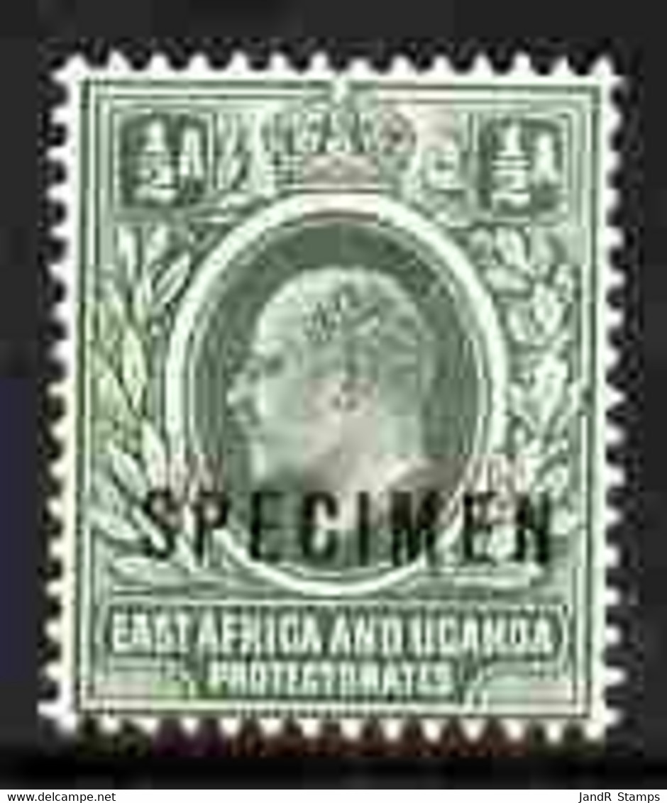 Kenya, Uganda & Tanganyika 1903-04 KE7 Crown CA 1/2a Overprinted SPECIMEN Fresh With Gum SG 1s (only About 750 Produced) - Altri & Non Classificati